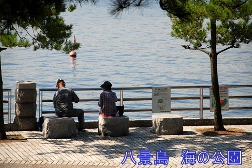 h171009009.JPG