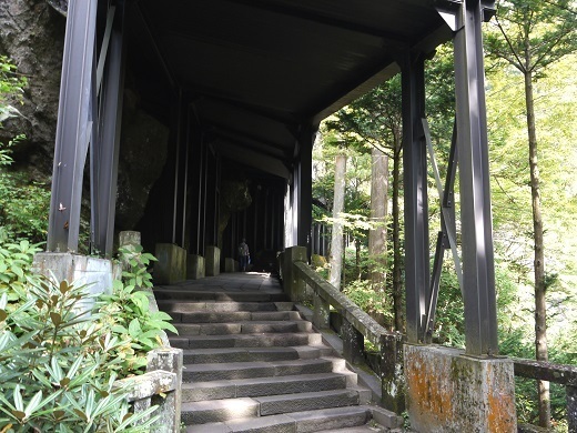 h171018008.JPG