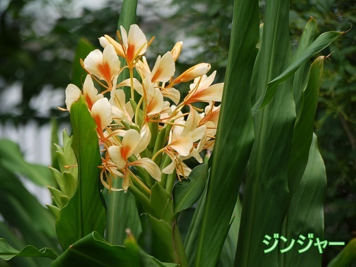 h180820004.JPG
