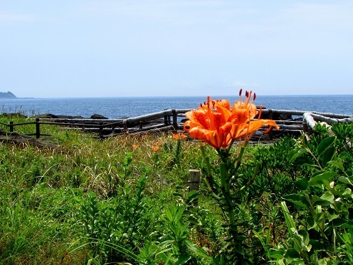 h190729006.JPG