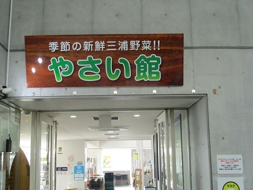 h220209004.JPG