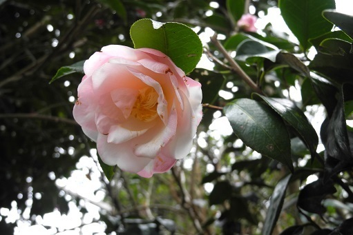 h220216002.JPG