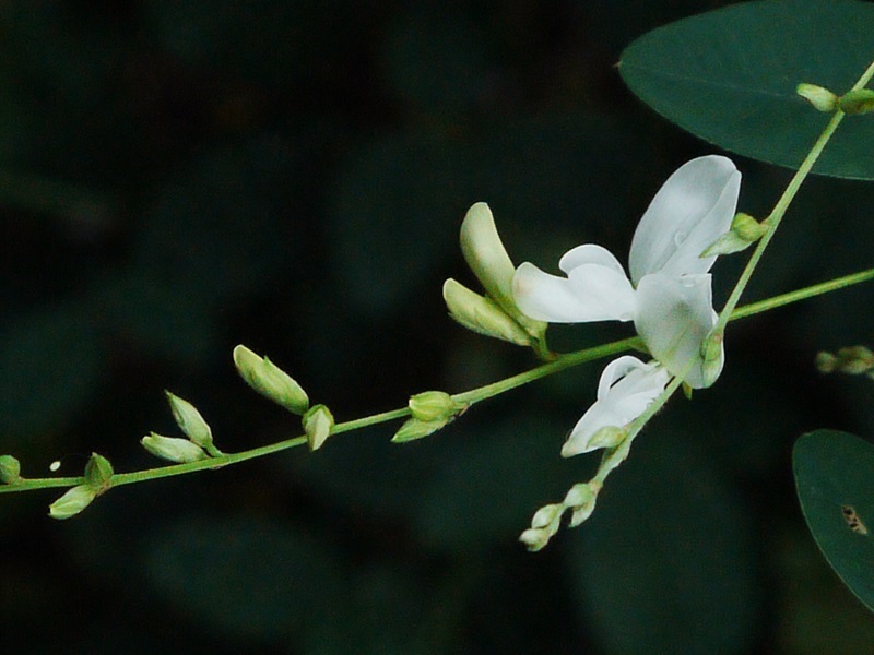 h230927005.JPG