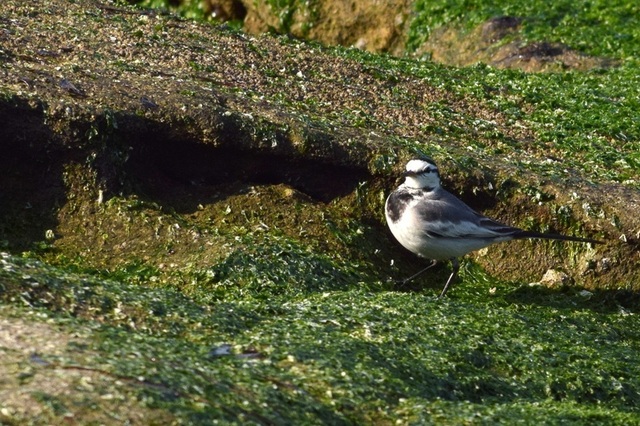 h250129002.JPG