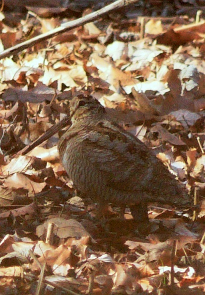 h250131012.JPG