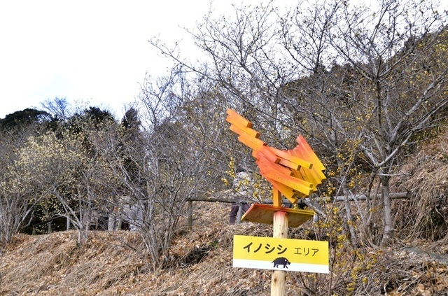 h250210004.JPG