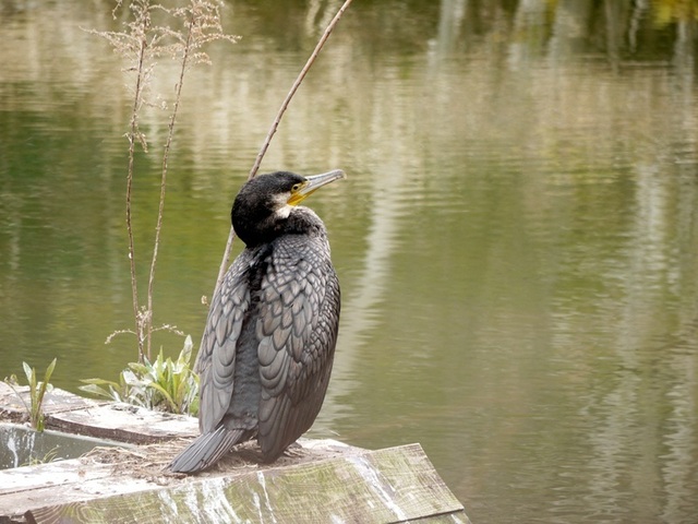 h250321002.JPG