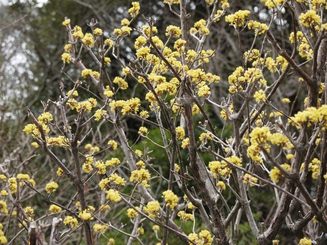 h250321004.JPG