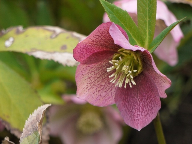 h250321006.JPG
