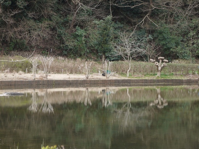 h250321009.JPG
