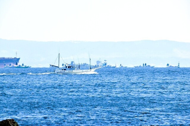 h250322005.JPG