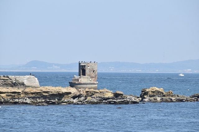 h250324008.JPG