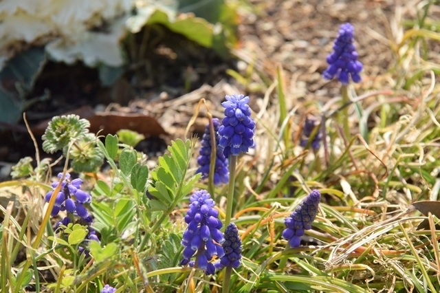 h250326009.JPG