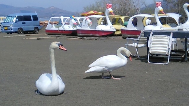 h250421006.jpg