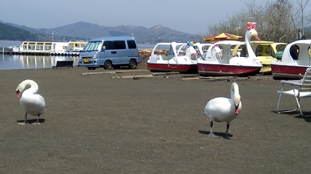 h250421007.jpg