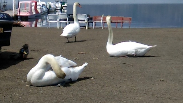 h250421008.jpg